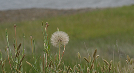 Pierre, South Dakota